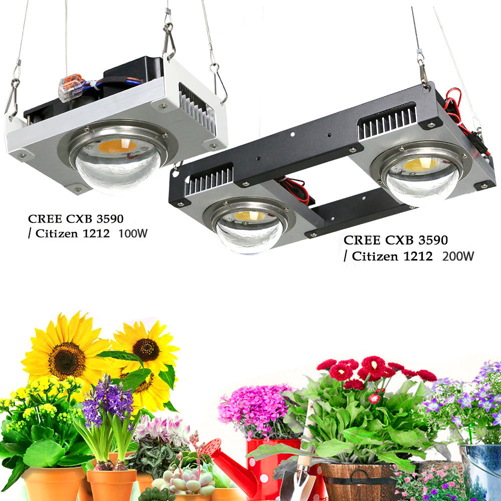 CXB3590 COB LED 성장 조명, 풀 스펙트럼, 100W, 200W, 시티즌 1212 LED 식물 성장 램프, 실내 텐트, 온실, 수경 재배 식물용